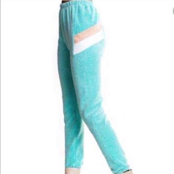 NWT Wildfox Knox Fuzzy Sweatpants in Trance Teal - Picture 3 of 4